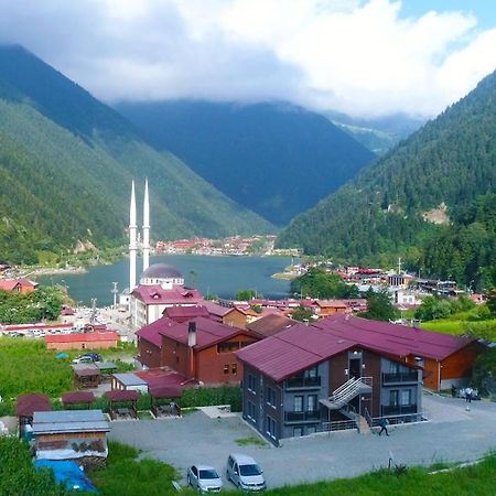 Anemo Suite Uzungöl Extérieur photo