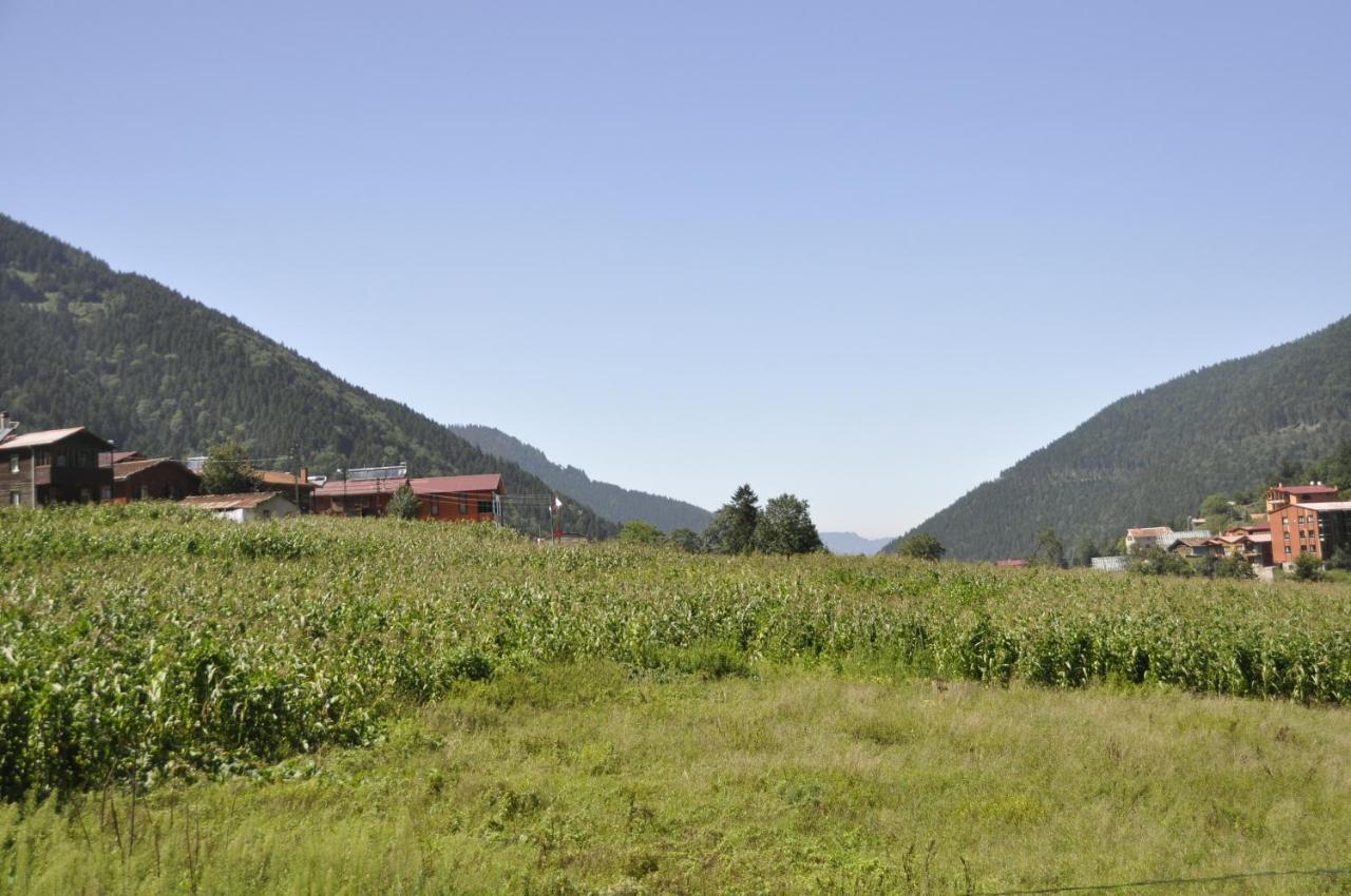 Anemo Suite Uzungöl Extérieur photo